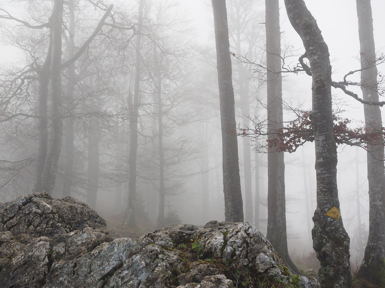 Parc naturel du Jura argovien