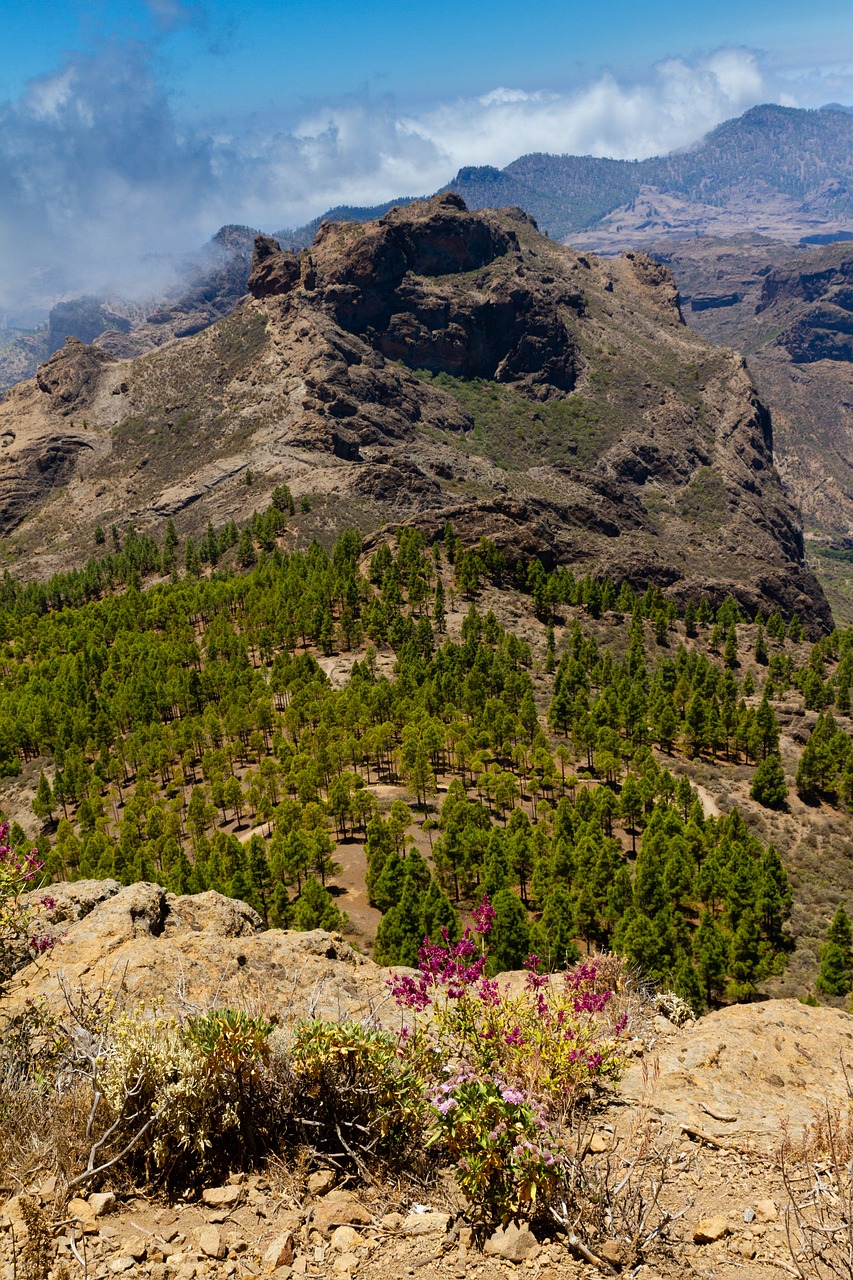 Randonnées en montagne