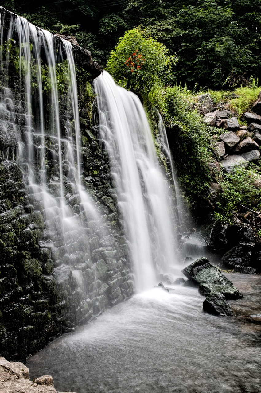 Chutes du Rhin