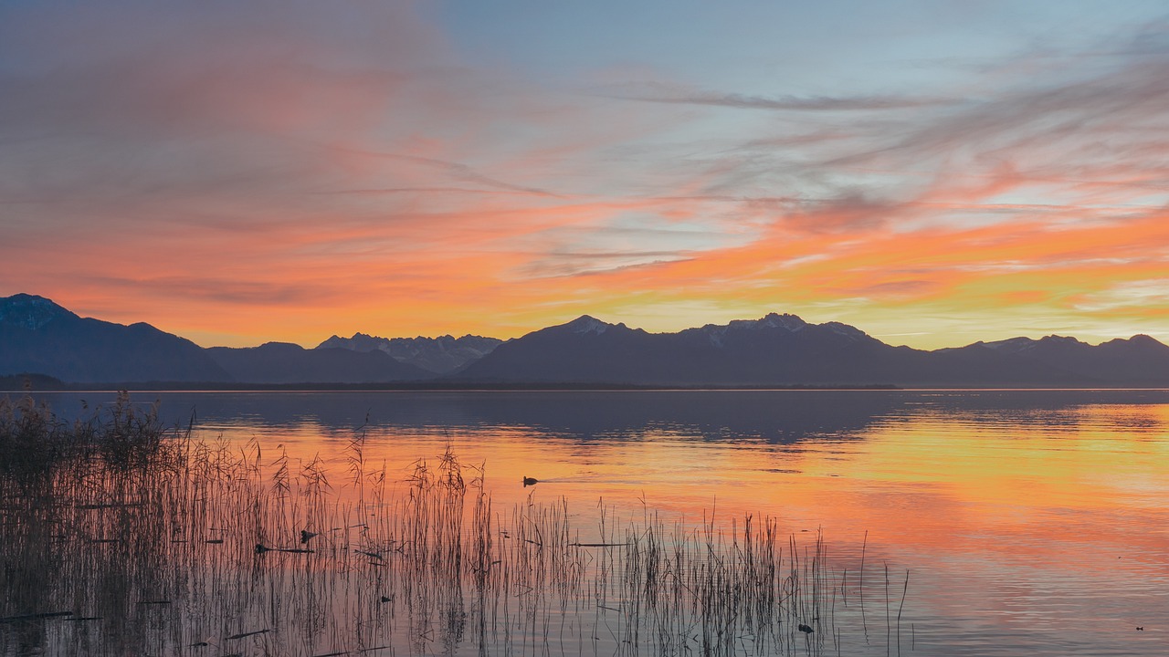 Randonnée autour du lac de Zug